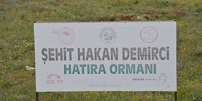 GELECEĞE NEFES OLDUK